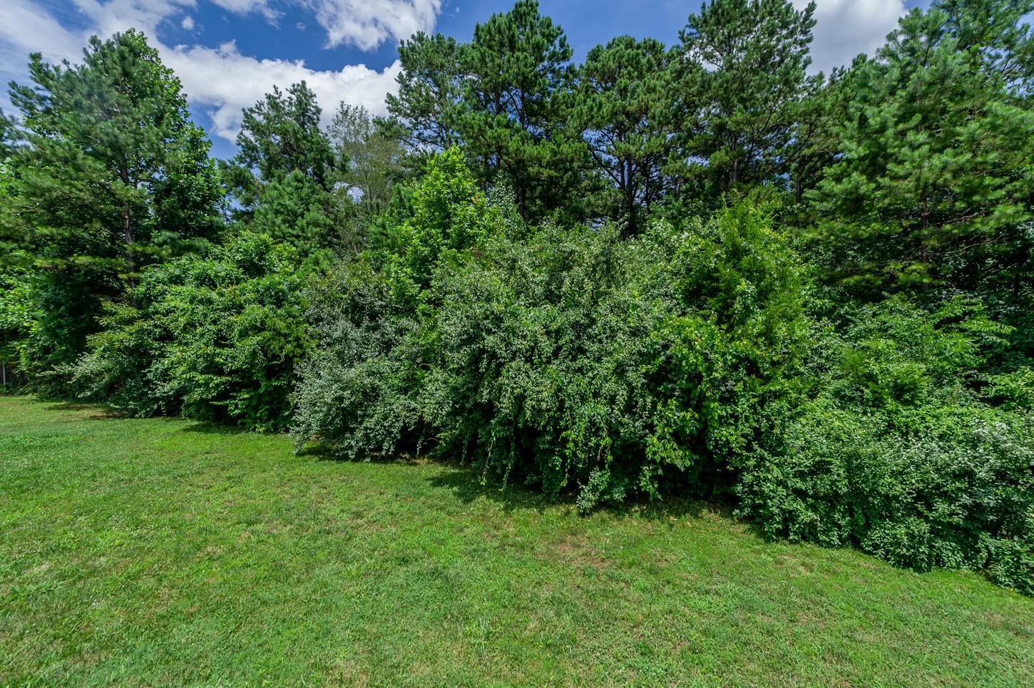 159 Crossroads Boulevard Oak Ridge, TN 37830 - Photo 24 of 28