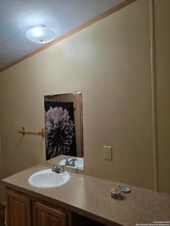 a bathroom with a sink vanity and a mirror