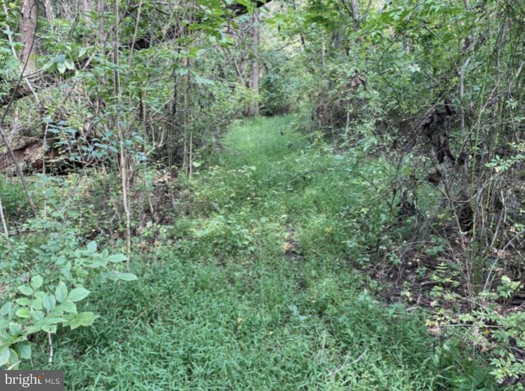 0 East Spring Valley Road Dillsburg, PA 17019 - Photo 3 of 10