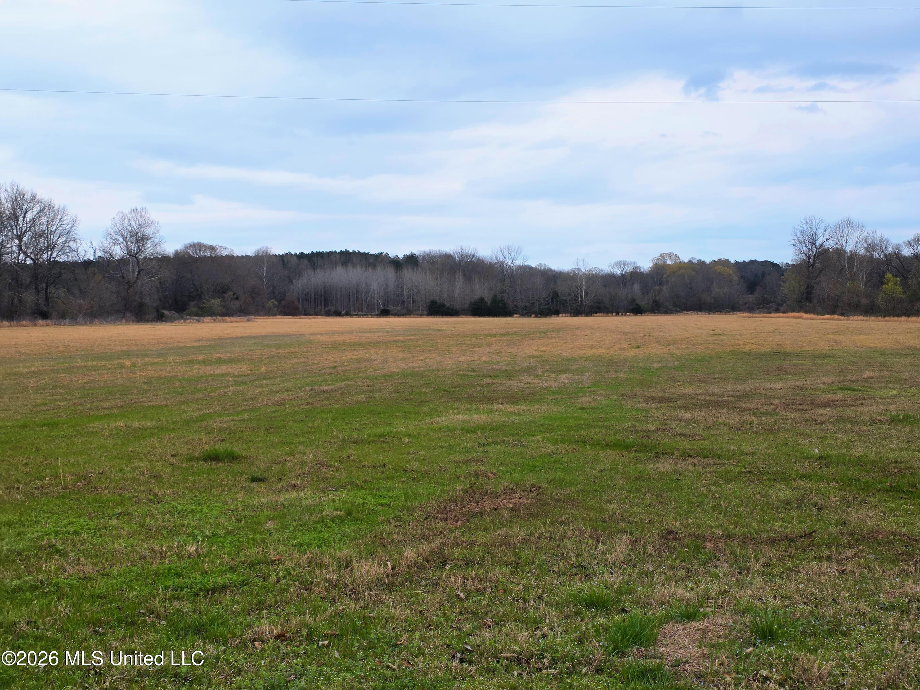 Barr Road Coldwater, MS 38618 - Photo 2 of 4 20260310_174451-EDIT