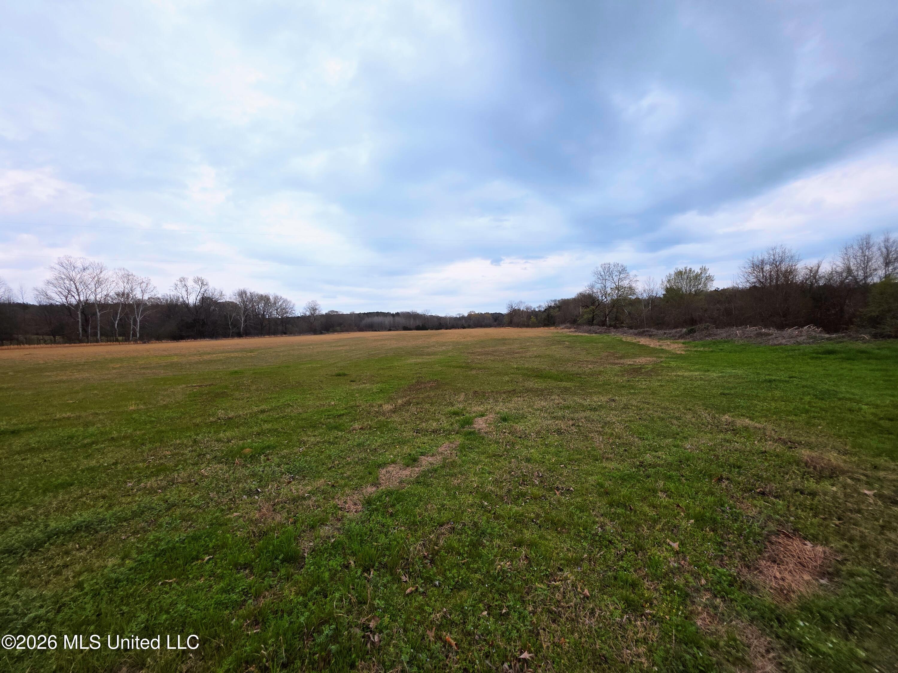 Barr Road Coldwater, MS 38618 - Photo 3 of 4 20260310_174435-EDIT