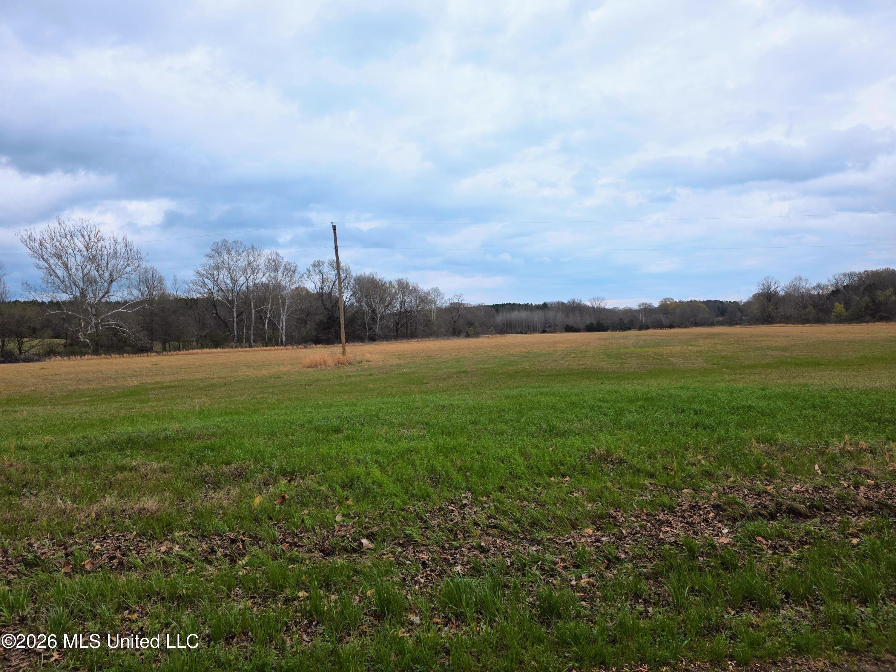 Barr Road Coldwater, MS 38618 - Photo 4 of 4 20260310_164122-EDIT