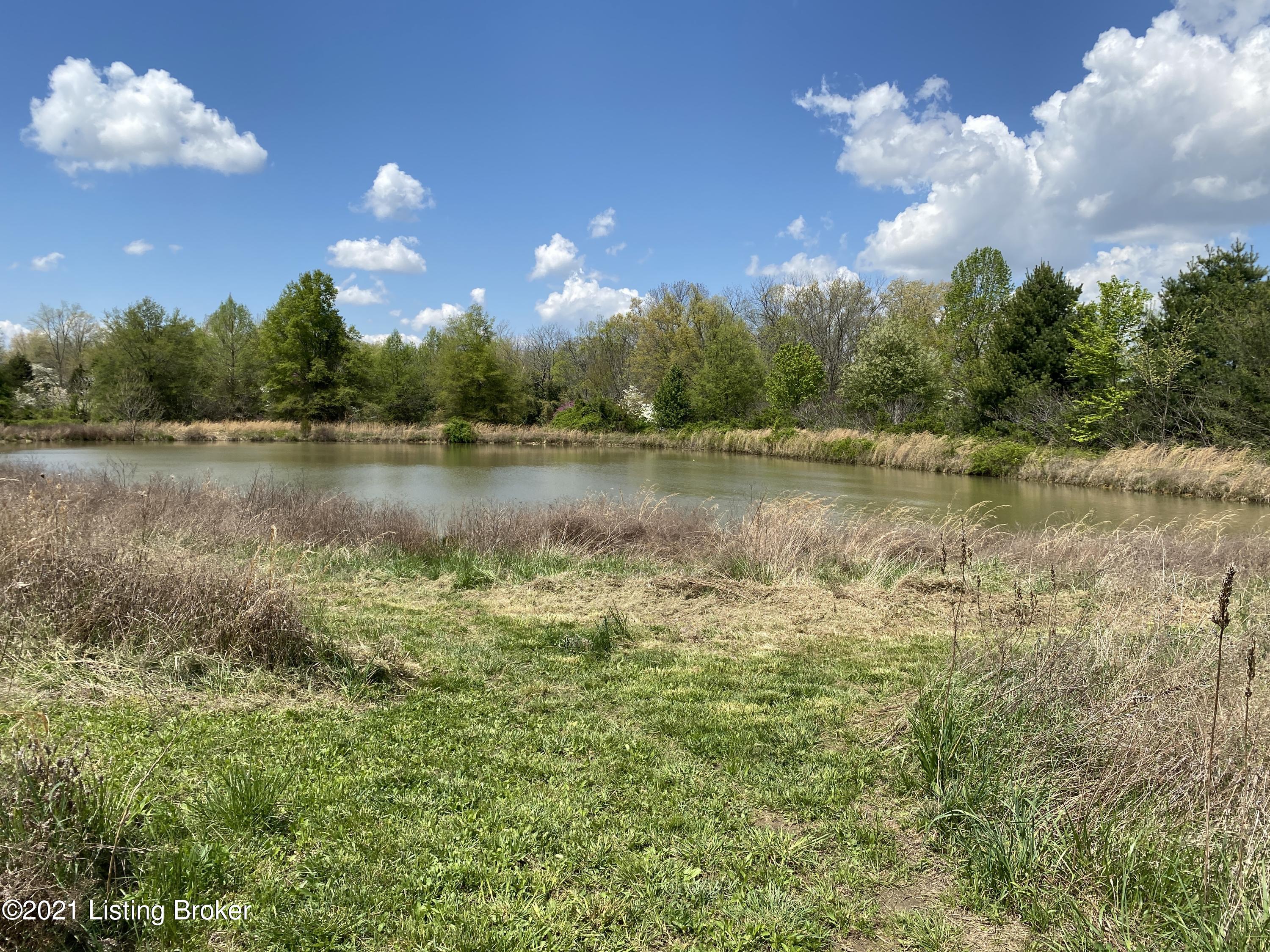 2691 Salt River Road Rineyville, KY 40162 - Photo 40 of 45 IMG_3037
