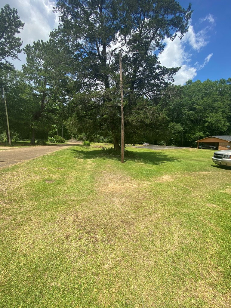 706 Holly Street Summit, MS 39666 - Photo 8 of 40 Photo 8