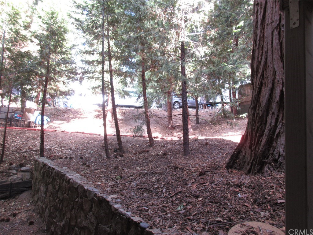 809 Arth Drive Crestline, CA 92325 - Photo 34 of 46