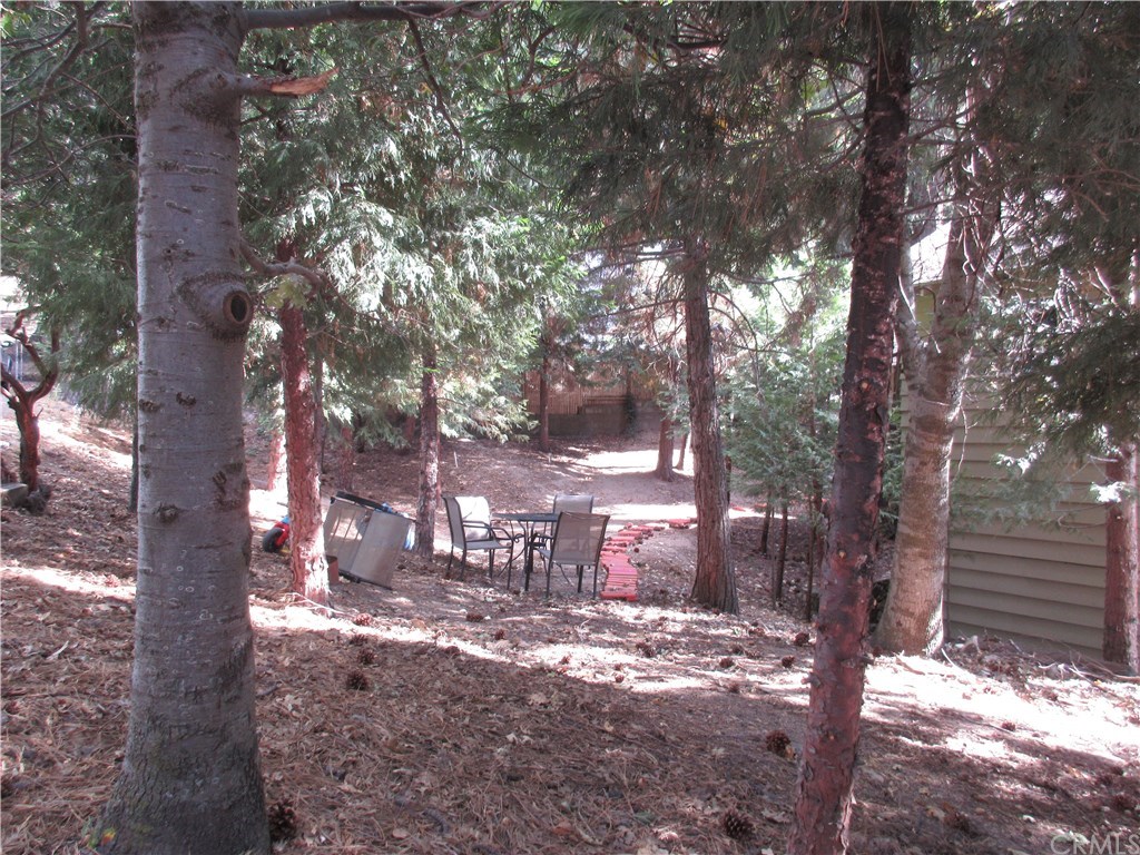 809 Arth Drive Crestline, CA 92325 - Photo 42 of 46