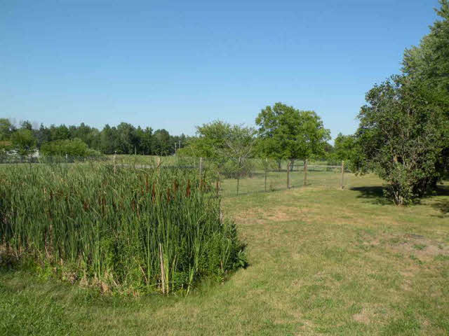 3135 South Fenmore Road Merrill, MI 48637 - Photo 13 of 14 20098406-12.JPG