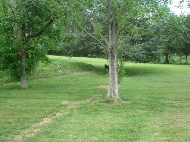 1110 Rock Bridge Road Bethpage, TN 37022 - Photo 21 of 23
