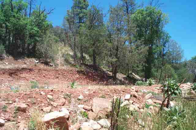 Lot 8 Whispering Pines Payson, AZ 85541 - Photo 2 of 5