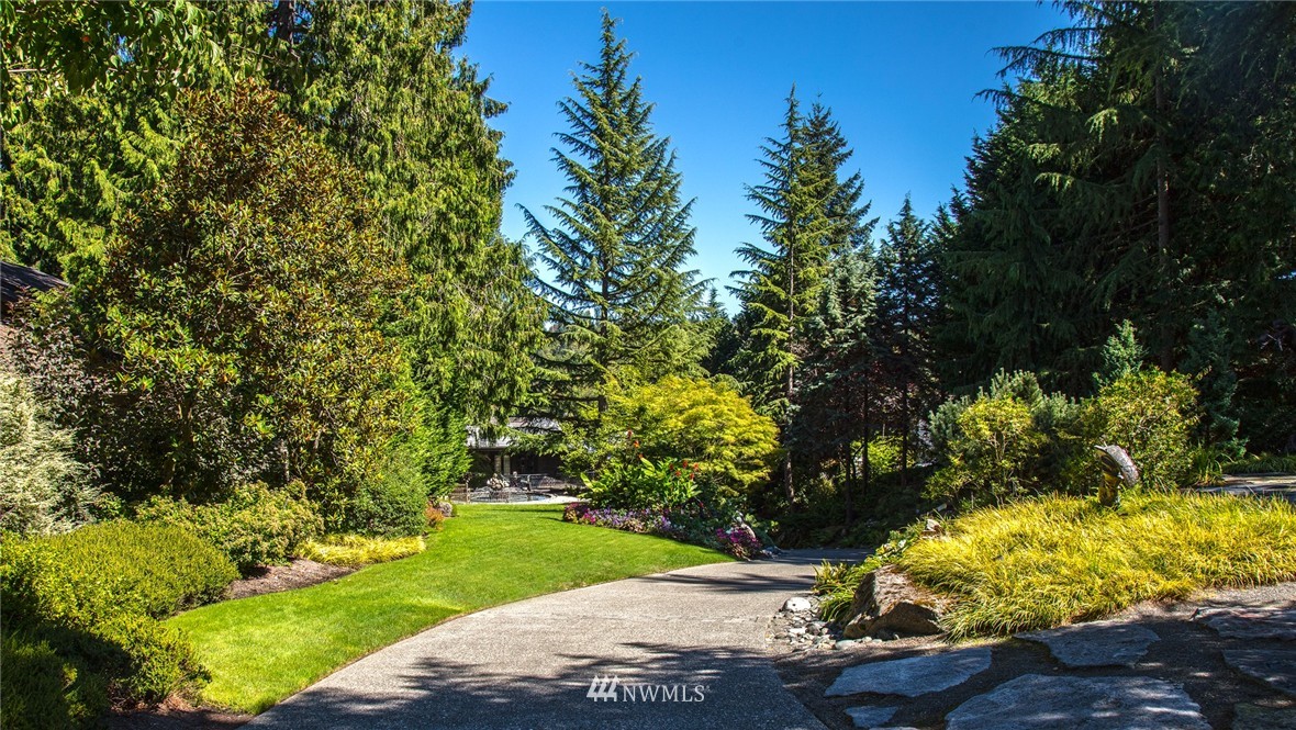 a view of a yard with plants and trees