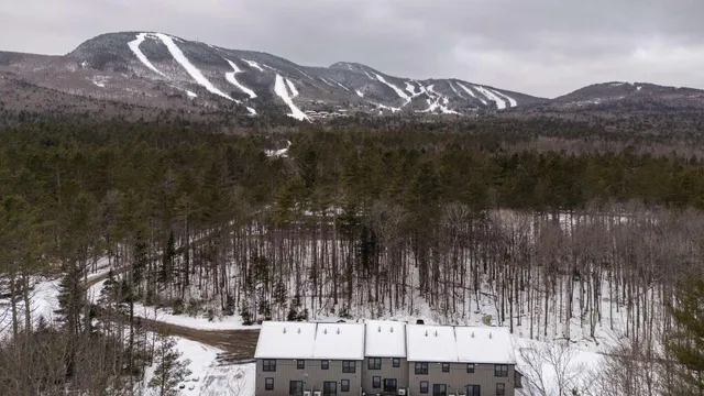 $765,000 | 11 Lodgepole Lane, Unit 11, Newry, ME 04261