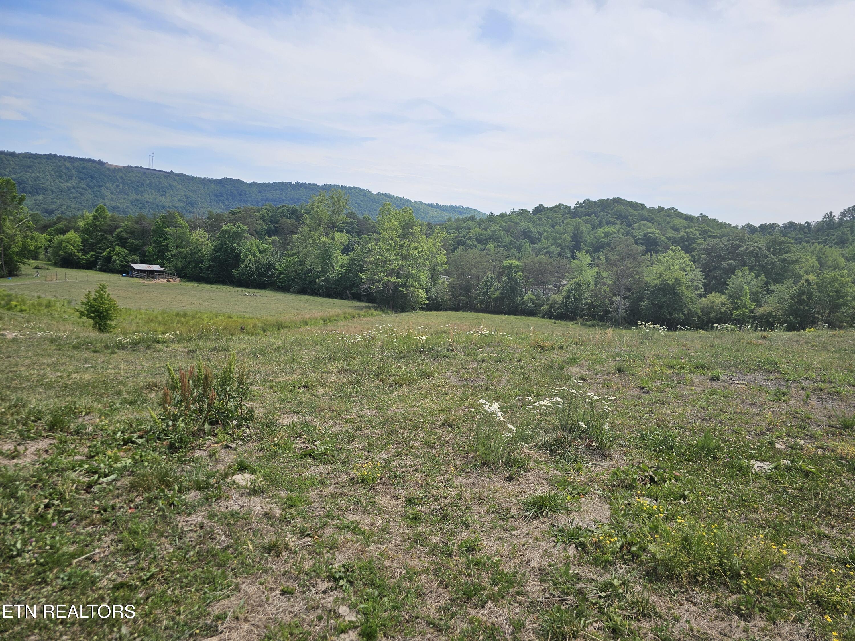 275 Republican Hill Road Newcomb, TN 37819 - Photo 21 of 34 Land