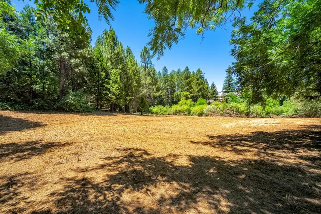 a view of yard with large trees