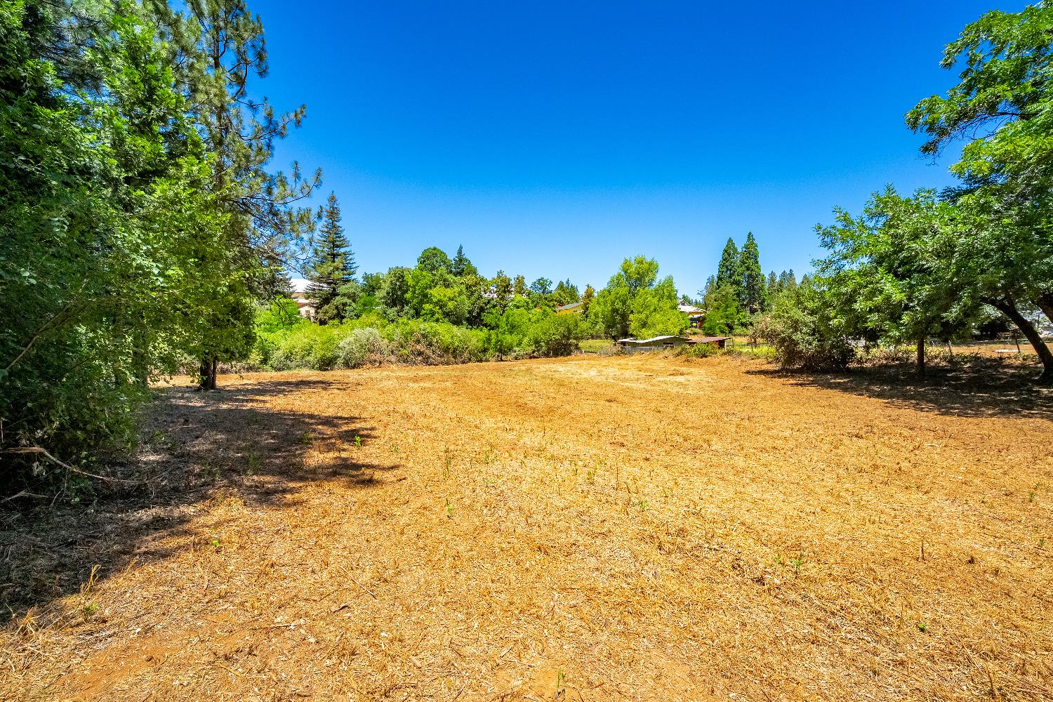 3238 South Street Georgetown, CA 95634 - Photo 12 of 15 a view of a ocean view