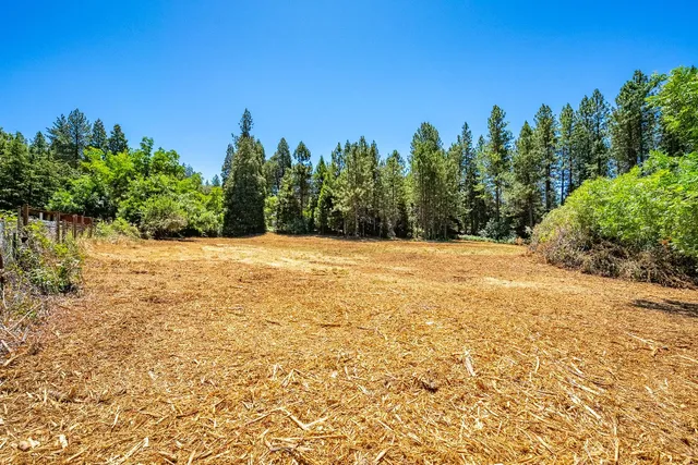 a view of yard with trees in background