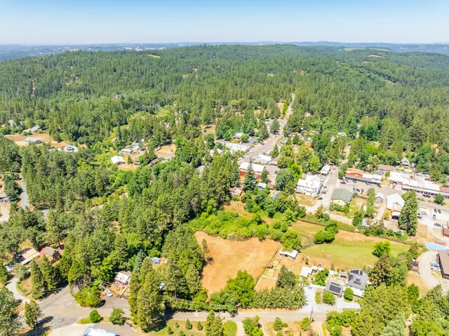a view of a city with lush green forest