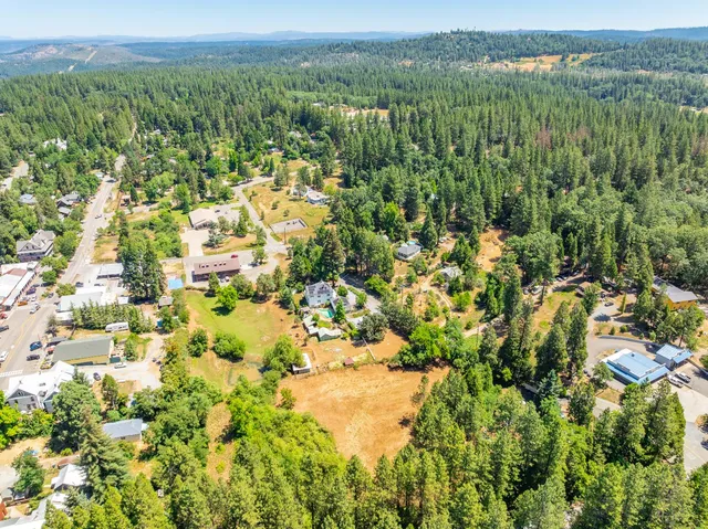 a view of a city with lush green forest