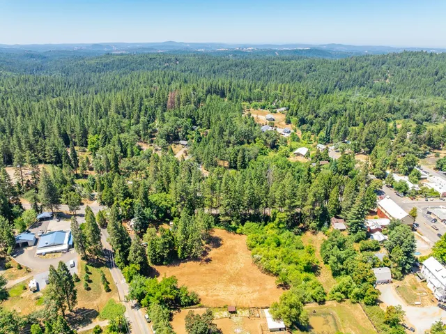 a view of a city with lush green forest