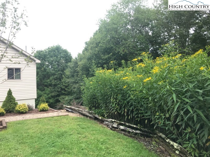 100 Spring Branch Road, Unit A Beech Mountain, NC 28604 - Photo 2 of 45