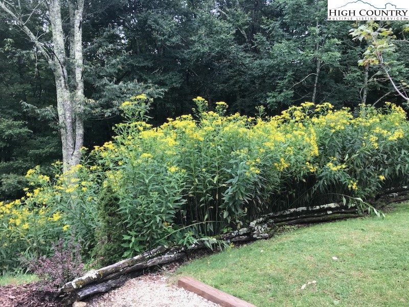 100 Spring Branch Road, Unit A Beech Mountain, NC 28604 - Photo 42 of 45
