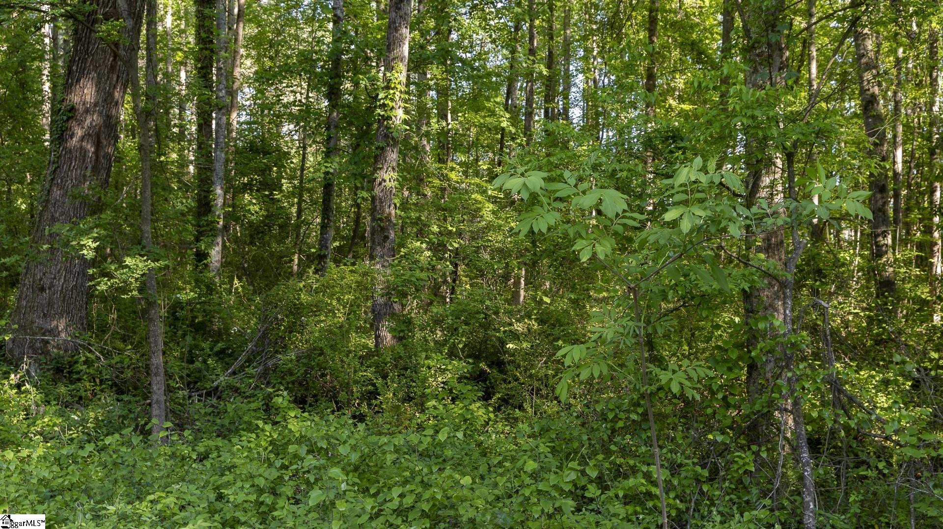 0 Botany Slopes Road Piedmont, SC 29673 - Photo 6 of 44