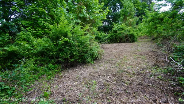 a view of a large yard with lots of bushes