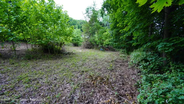 a view of a large yard with lots of bushes