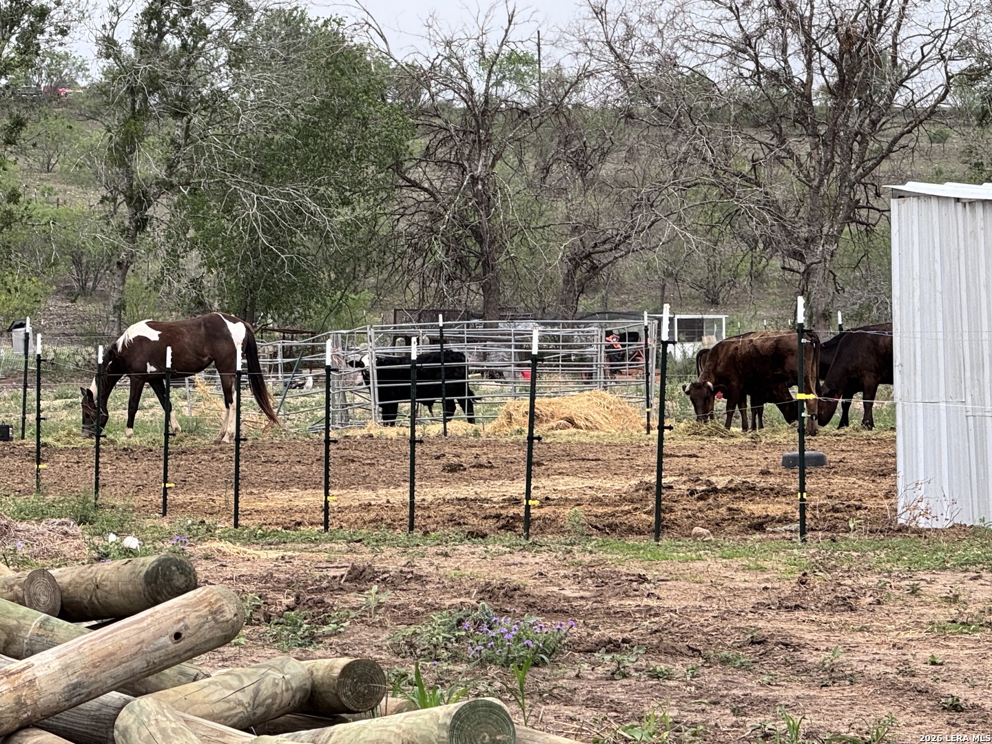 2551 Scull Road Martindale, TX 78655 - Photo 26 of 27