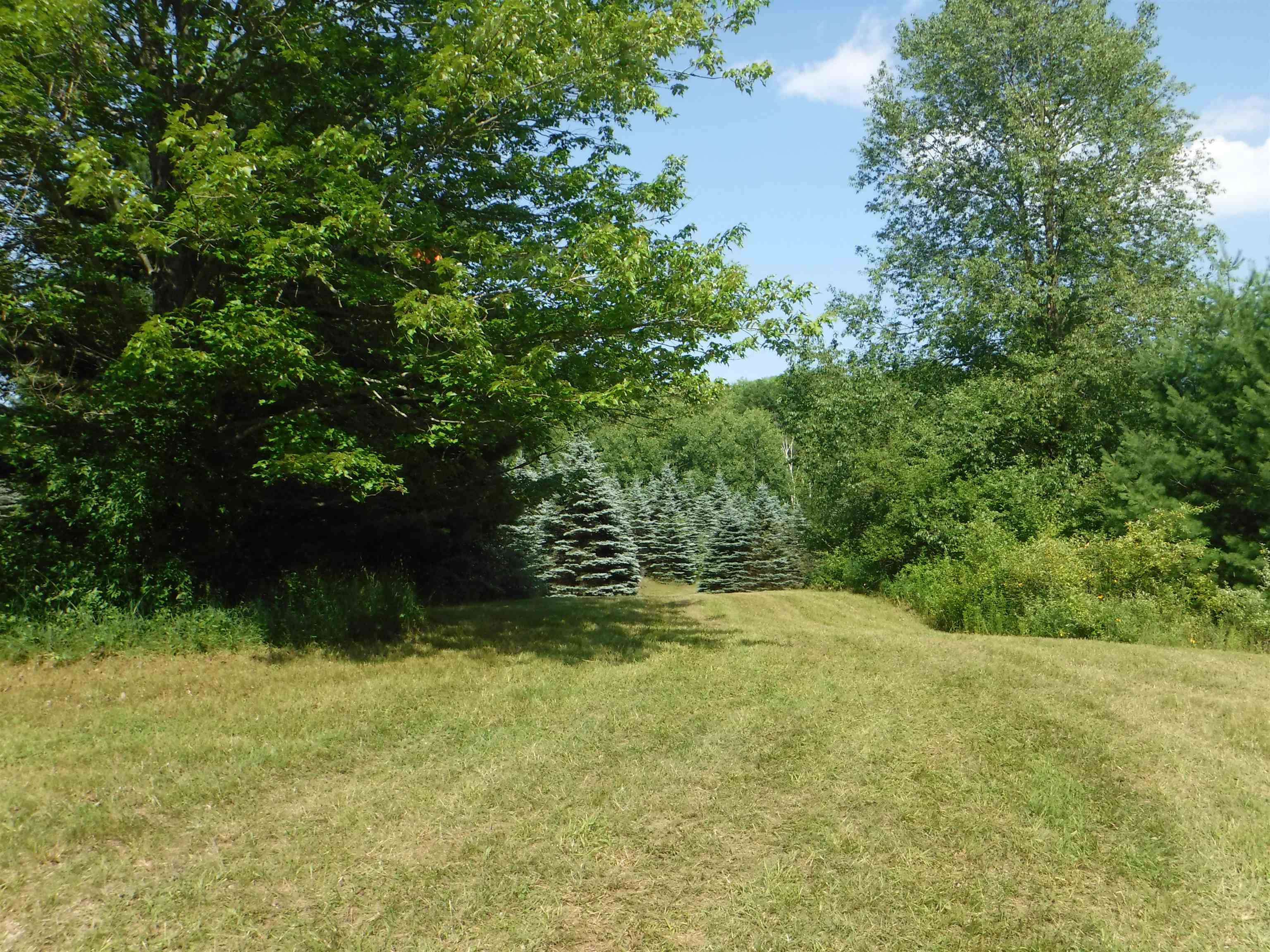 2750 South Poor Farm Road Greenbush, MI 48738 - Photo 3 of 10