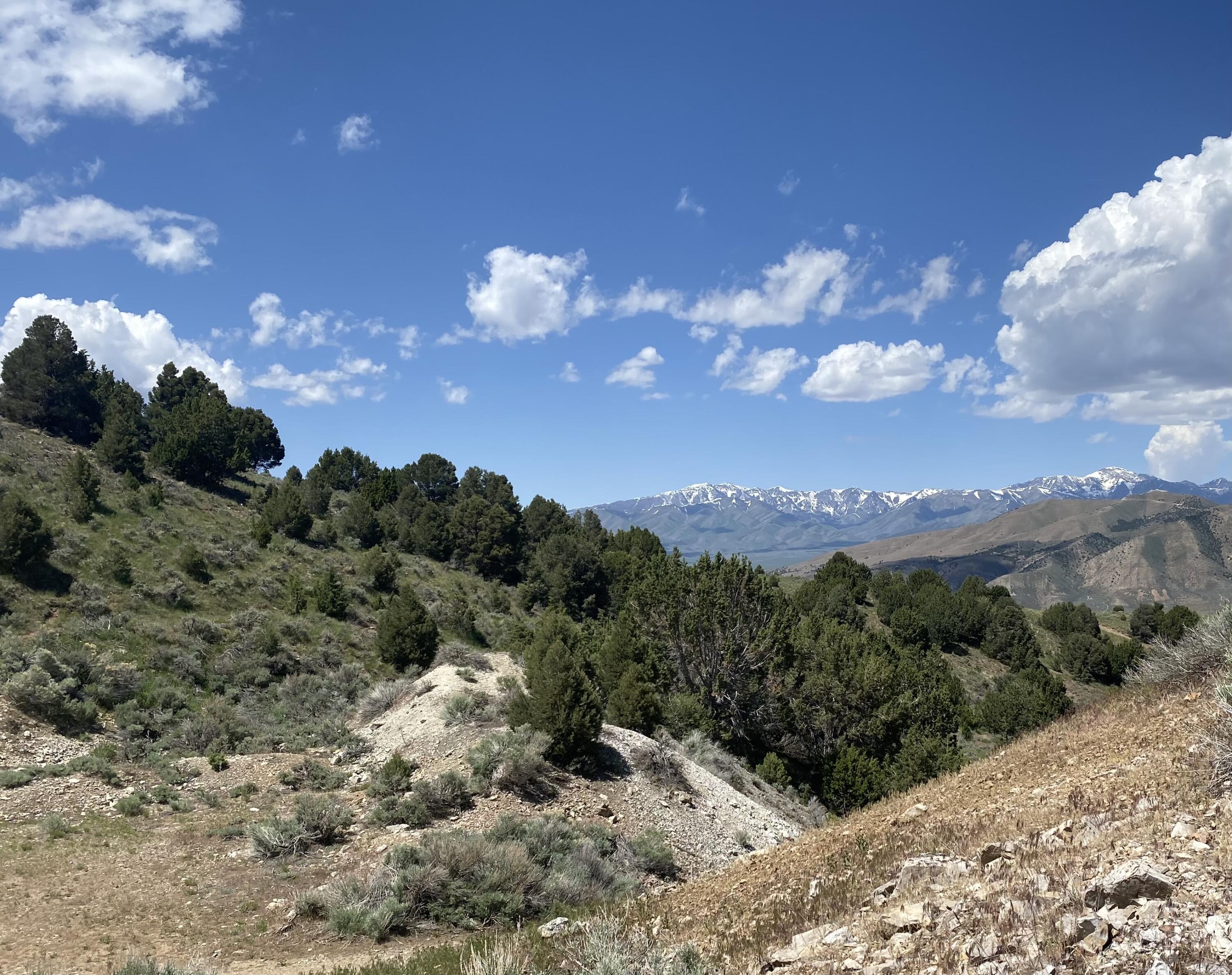 East Bald Mountain Road Stockton, UT 84071 - Photo 4 of 17 IMG_6585