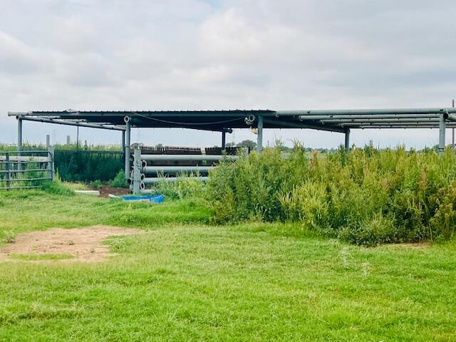 6318 East County Road 6500 Lubbock, TX 79403 - Photo 2 of 17 a view of a big yard with potted plants and large trees