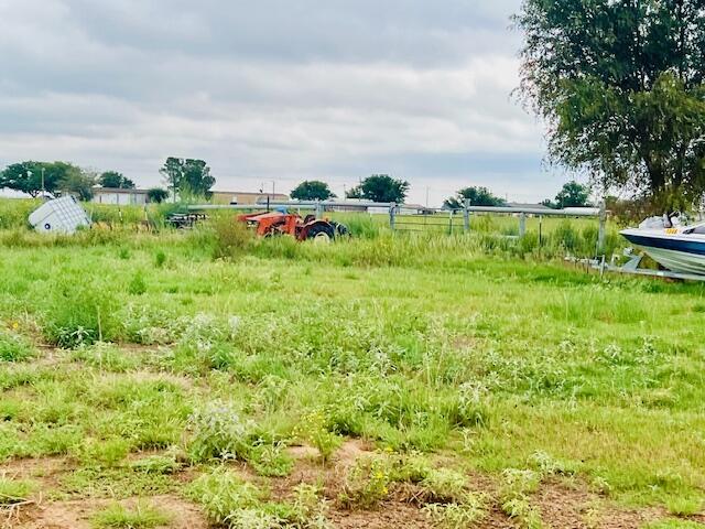 6318 East County Road 6500 Lubbock, TX 79403 - Photo 6 of 17 a backyard of a house with lots of green space and garden view