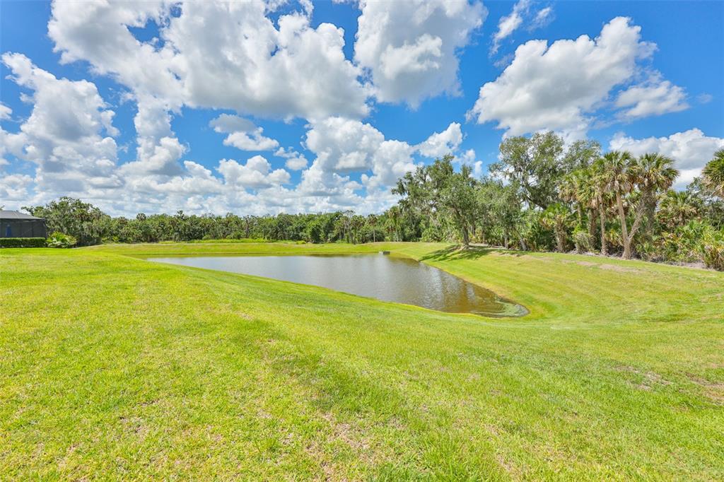 14269 Skipping Stone Loop Parrish, FL 34219 - Photo 44 of 66