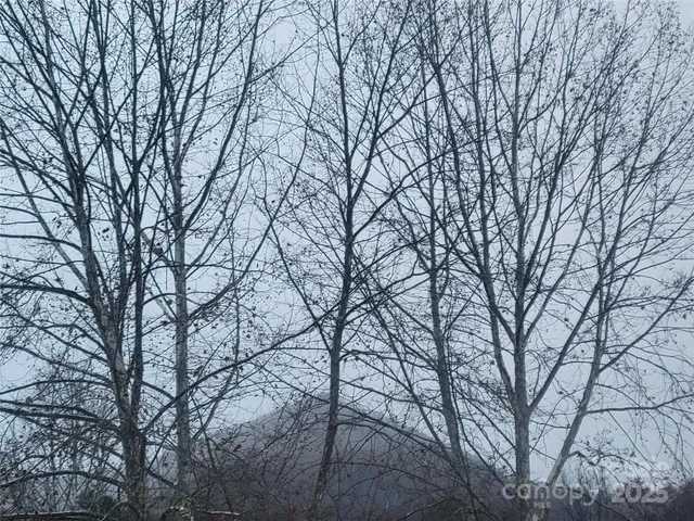 $174,000 | 141 Pike Point, Waynesville, NC 28785