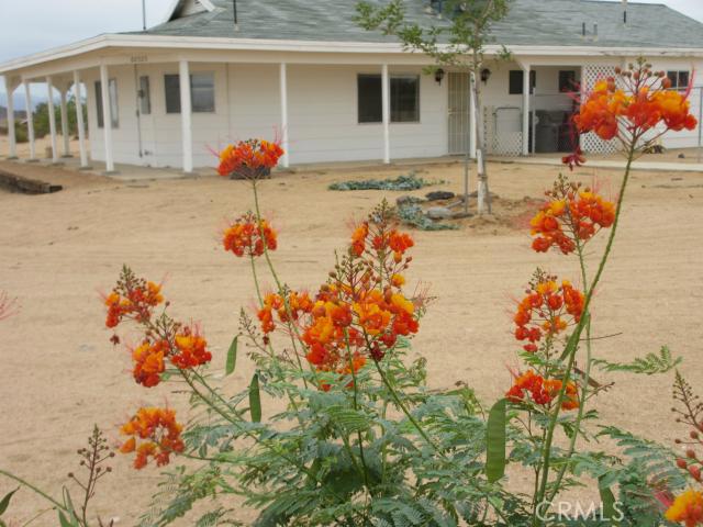 62323 Mars Drive Joshua Tree, CA 92252 - Photo 1 of 26 a front view of a house with umbrella