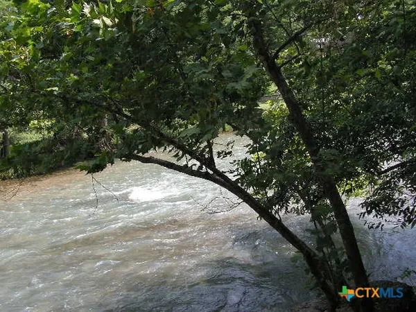 a backyard of a house with lots of trees
