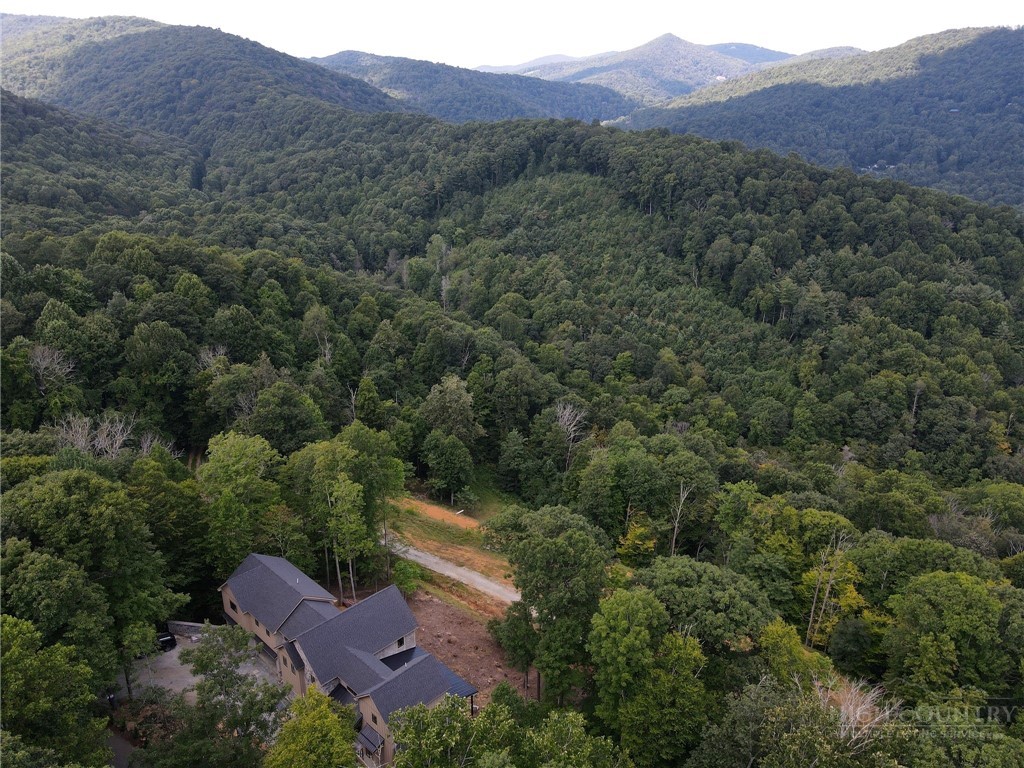 312 Red Fox Trail Boone, NC 28607 - Photo 3 of 11 Gallery Image 3
