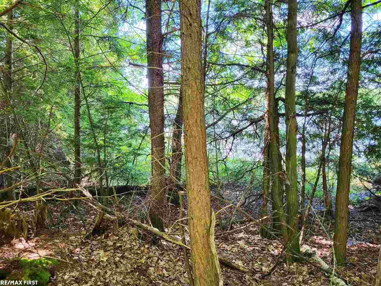 0 Engman Lake Access Road Skandia, MI 49885 - Photo 14 of 17