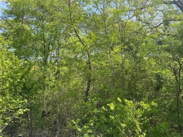 $35,000 | 0 Hollybrook Drive, Plantersville, TX 77363