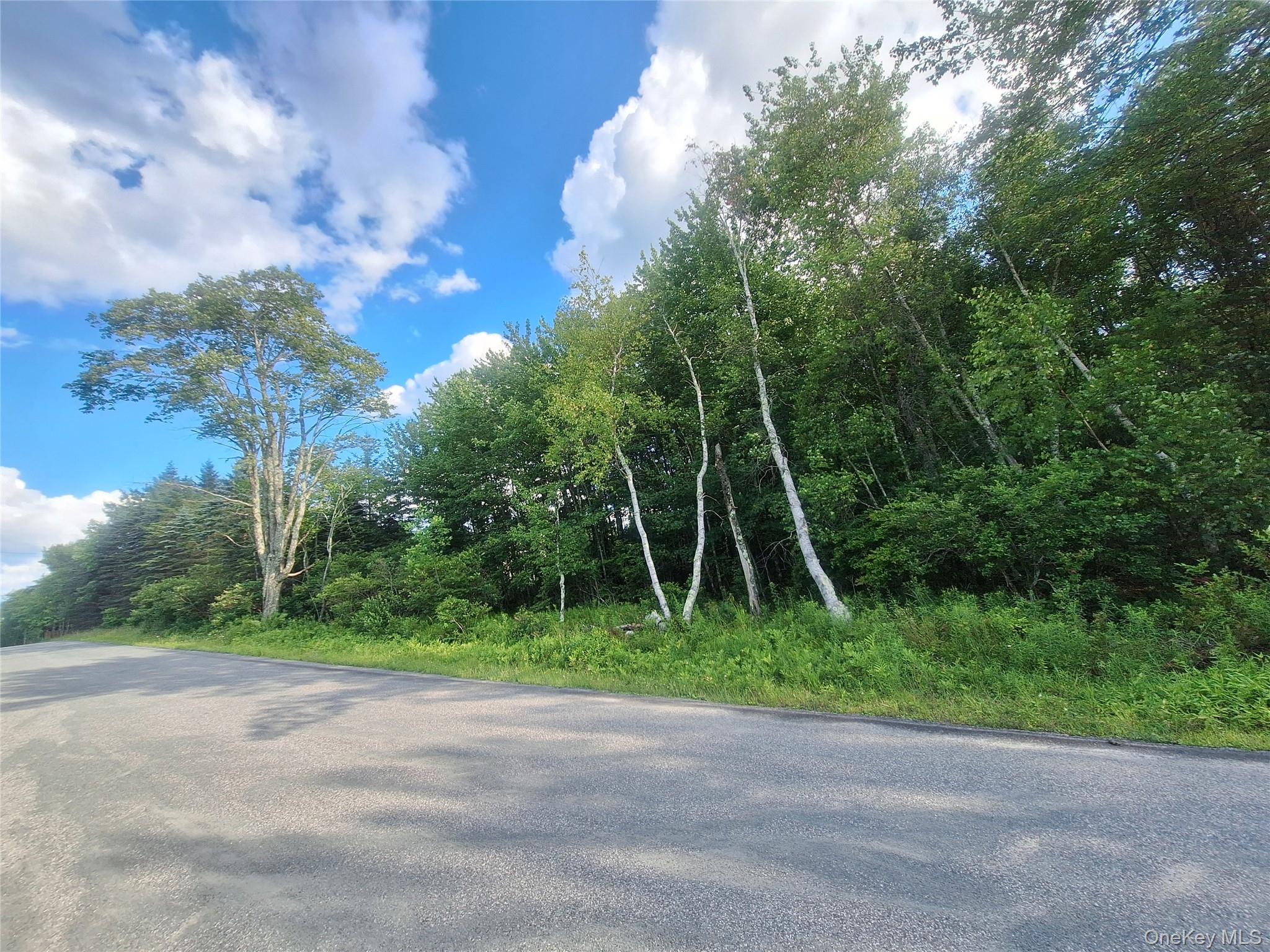 Burnt Ridge Road Fallsburg, NY 12733 - Photo 35 of 38 Gallery Image 35