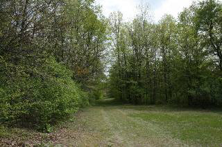8175 Summerfield Road Petersburg, MI 49270 - Photo 15 of 20 Trail to Meadow
