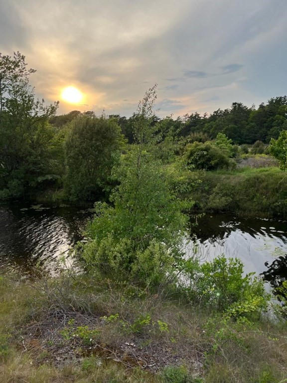 188 Barker Road Wareham, MA 02538 - Photo 22 of 23