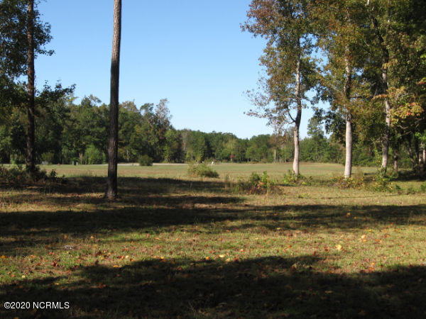 314 Baird Point Road Grantsboro, NC 28529 - Photo 1 of 1 1 acre Interior Building Lot