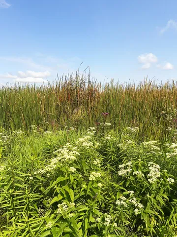 $299,900 | 47311 Cr-134, Deer River, MN 56636