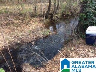 769 Chandler Mountain Road Steele, AL 35987 - Photo 30 of 41