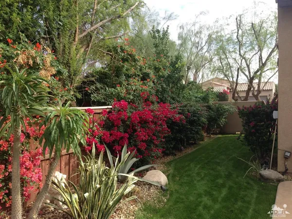 a view of a flower in a garden