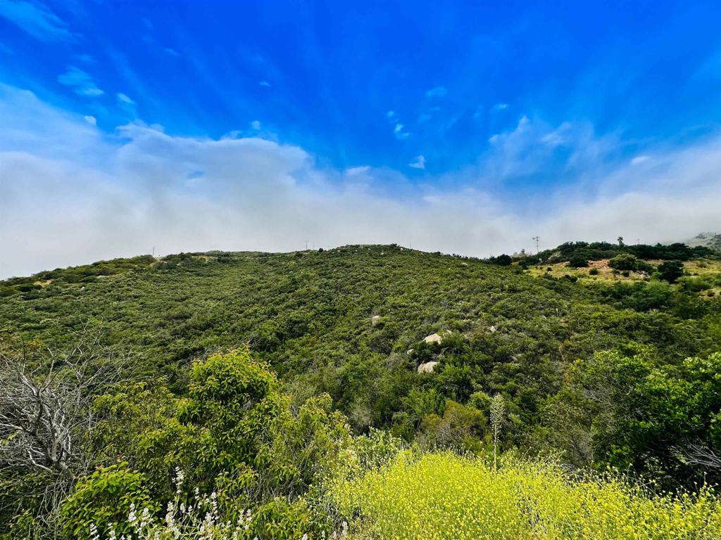 2 El Trio Road Temecula, CA 92590 - Photo 2 of 12 a view of a large body of water with a tree