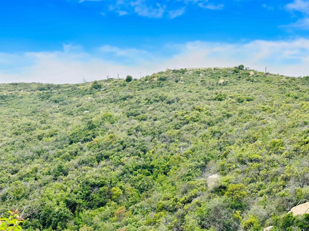 2 El Trio Road Temecula, CA 92590 - Photo 7 of 12 a view of a green field