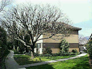 5970 Encina Road, Unit 6 Goleta, CA 93117 - Photo 1 of 1 Listing Photo