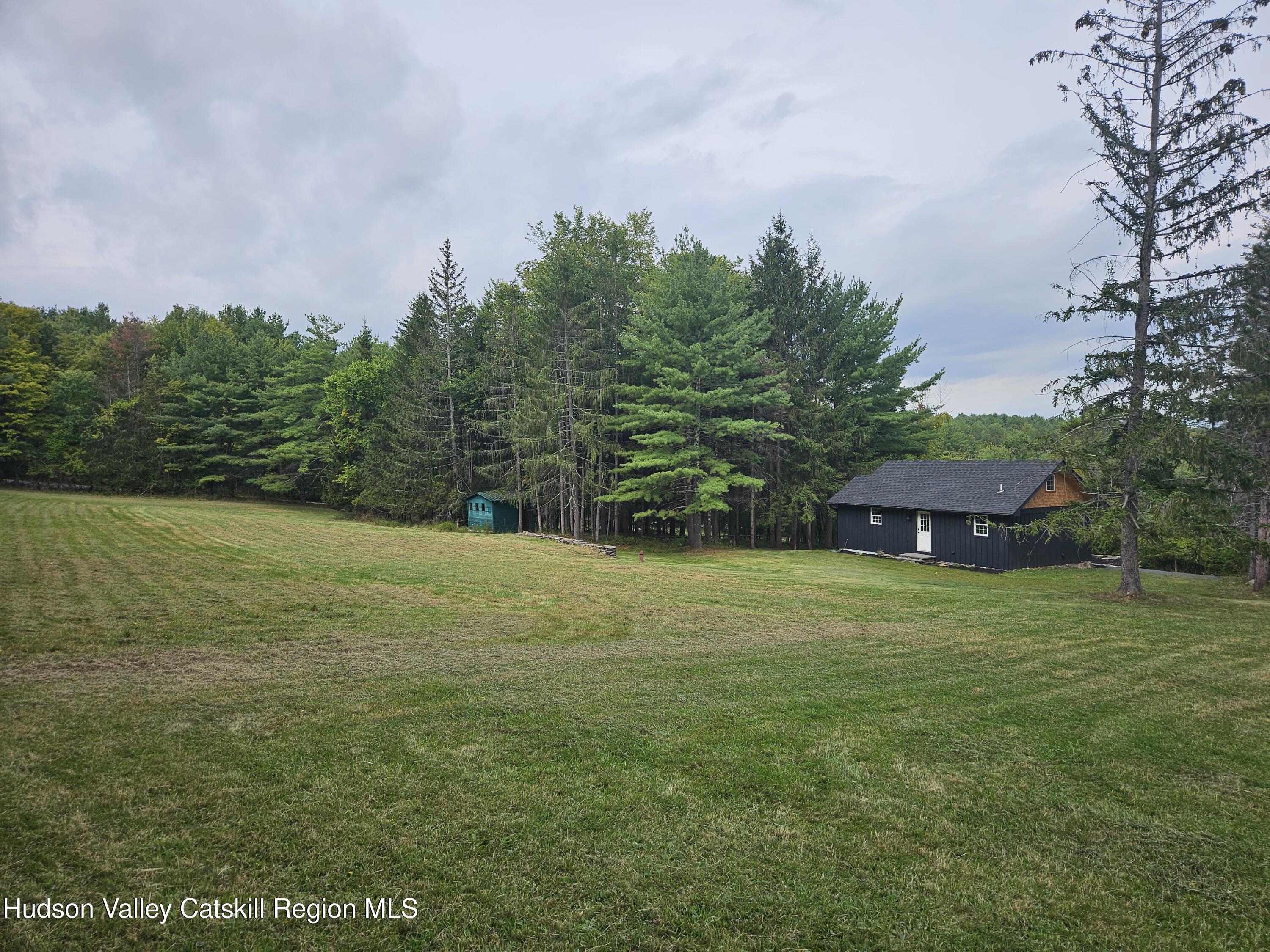 20 Reich Road Cornwallville, NY 12418 - Photo 40 of 53 Spacious Land